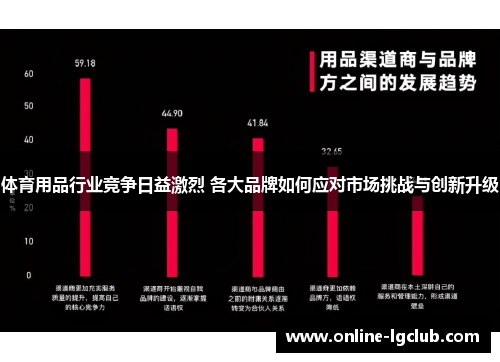 体育用品行业竞争日益激烈 各大品牌如何应对市场挑战与创新升级