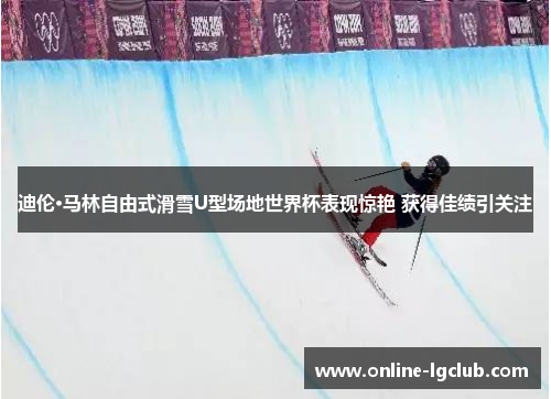 迪伦·马林自由式滑雪U型场地世界杯表现惊艳 获得佳绩引关注