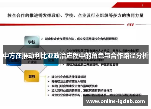 中方在推动利比亚政治进程中的角色与合作路径分析