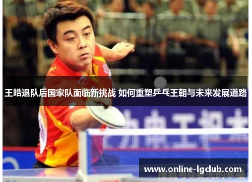 王皓退队后国家队面临新挑战 如何重塑乒乓王朝与未来发展道路