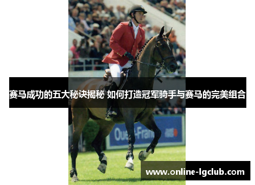 赛马成功的五大秘诀揭秘 如何打造冠军骑手与赛马的完美组合